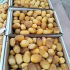 متوفر لدينا تمر رطب خلاص طيب