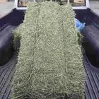 برسيم واعلاف ساجر