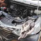 مكينه افانزا كاريتا كونا