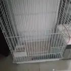 قفص ببغاء كبير