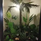 تنسيق حدائق