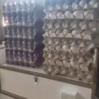 متوفر بيض بط بكيني الأم سوبر جامبو نسبة التخصيب 85 بالمئة