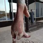 معلم مشويات خارجية شامية شامية