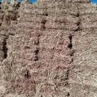 ذره علف جيزاني حمرا