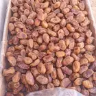 تمر اخلاص حبه فاخر اشقر للبيع