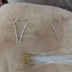 شبك لطرح الصقور