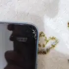 هواوي y9s للبيع