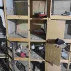 محاكر حمام