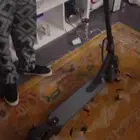 سكوتر شومي