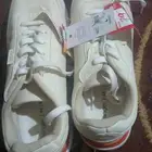 كوتش للبيع