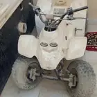 دباب للبيع علا حالته دباب واقف له سنه