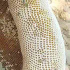 عسل سدر رقم 1