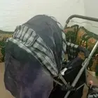 للبيع عربت اطفال