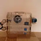قفص هامستر دورين كوخ و عجله و ماء وصحن أكل درج