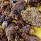 مر صومالي اصلي رقم 1