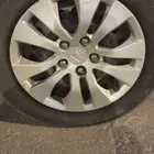 طيس اكورد 2013 17