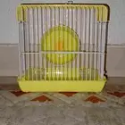 قفص هامستر نظيف جهاز لاستخدام الحجم يا يصلح هامستر متوسط