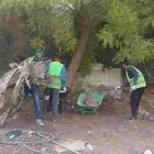 مقاولات تكسير نظافه أحواش قص أشجار نخيل