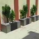 منسق حدائق