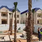 نخل واشنطن زينه