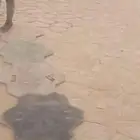 الخرسانة المطبوعة صبة مروحة السعودية ديكور الاحديق