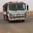 دينا المشواره القاعده الخطه حائل رفحا بقاء