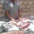 انا جزار وبحس عن فرصة عمل