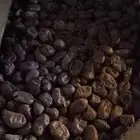 تمر علف خمسه كرتون