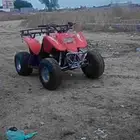دباب تايون مقاس 100