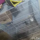 قفص طيور كبير