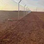 شبوك وسياجات المملكة