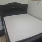 الخبر العقربيه