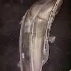 كشاف كامري 2016 حق بلد
