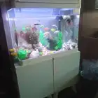 حوض سمك للبيع