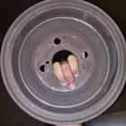هوبات خلفيه يارس 2016