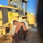 شيول جي للبيع