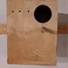 بياضات للبغبغاء