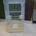 قفص ببغاء للبيع