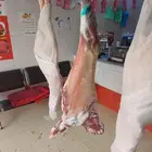 جزار . لحمام .مصري .العيد كل عام وانتم بخير