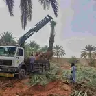 سطحة ونش كرين