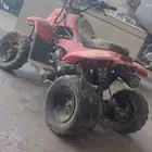 دباب
