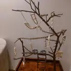 ستاند ببغاء رهيب وشكل جميل وحجم حلو