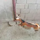 جفر طلي للبيع البلقعة شرق ثربان