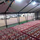 بيوت شعر ملكيه المطوره
