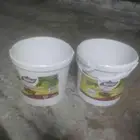 بريدة