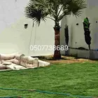 نخل واشنطن