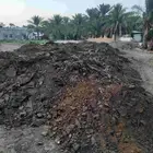 سماد بقرى داخل الشرقيه