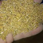 برسيم بلدي بالكيلو