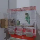 زوج فيشر منتج