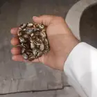 مسباح للبيع